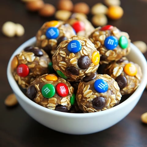 A bowl of treats made with oats and chocolate chips.